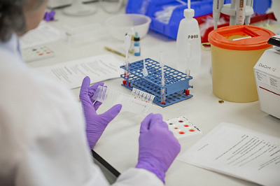 In the lab at NHS Blood and Transplant